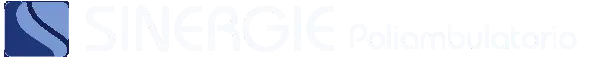 footer logo sinergie